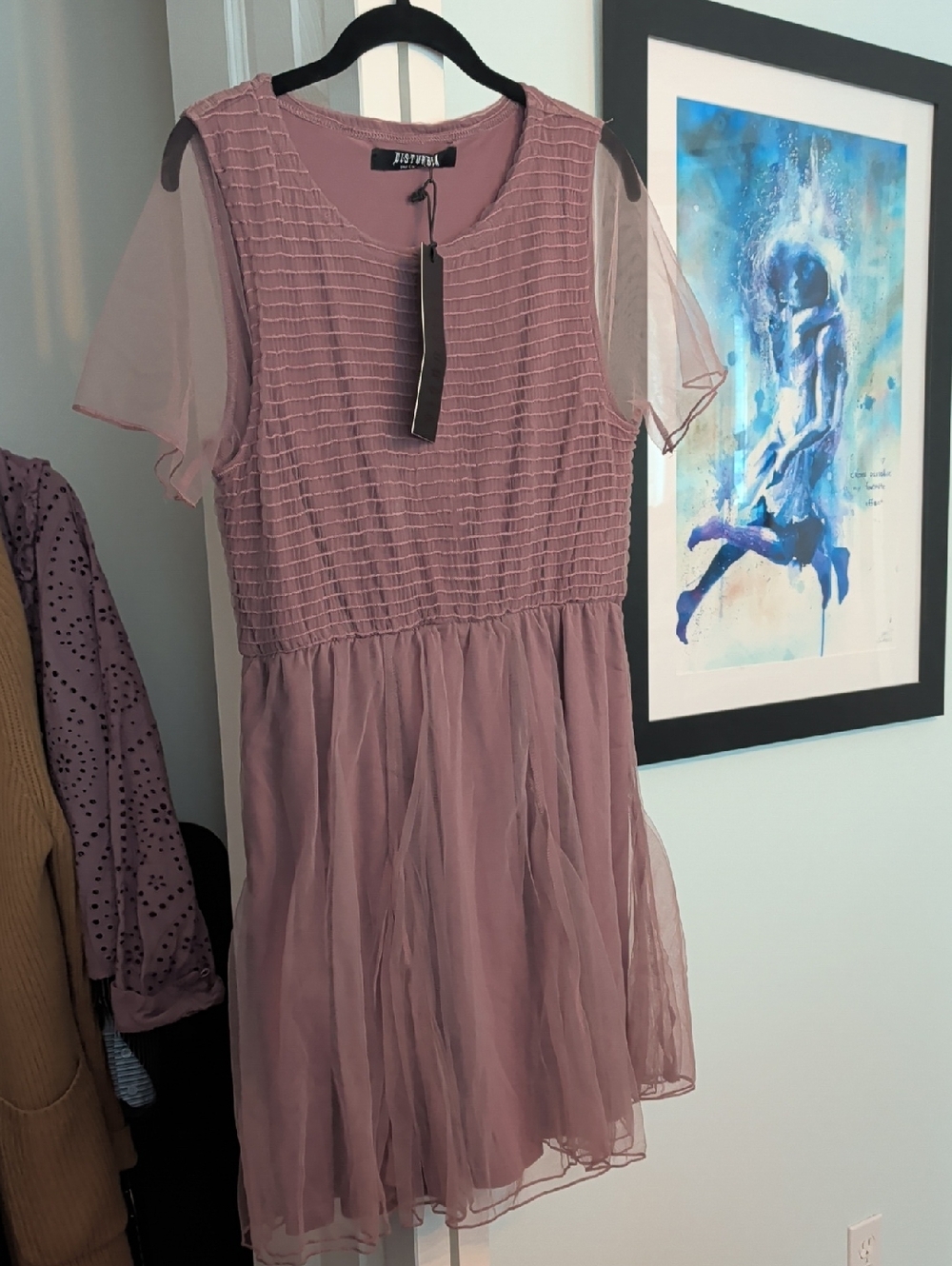 NWT * Disturbia - Carolina Godet Shirred Mini Skater Dress - 8 - Picture 2 of 3